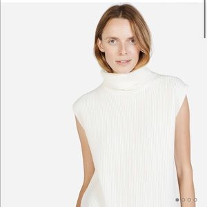 Everlane Chunky Wool Sleeveless Turtleneck